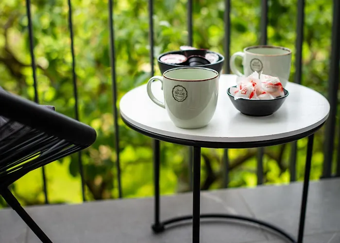 公寓 Zoya 布莱德