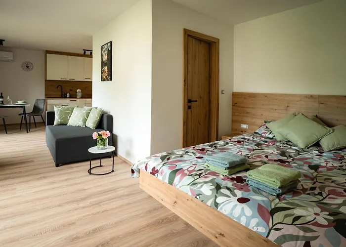 公寓 Zoya 布莱德