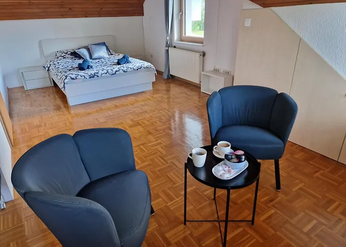 公寓 Zoya 布莱德